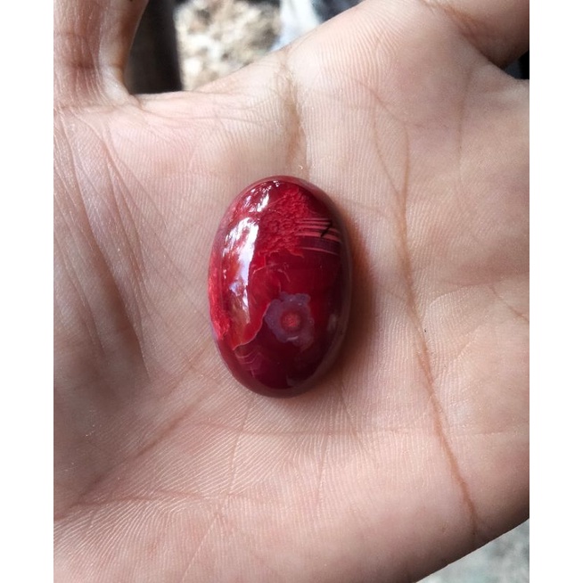 batu rubah merah banyuwangi