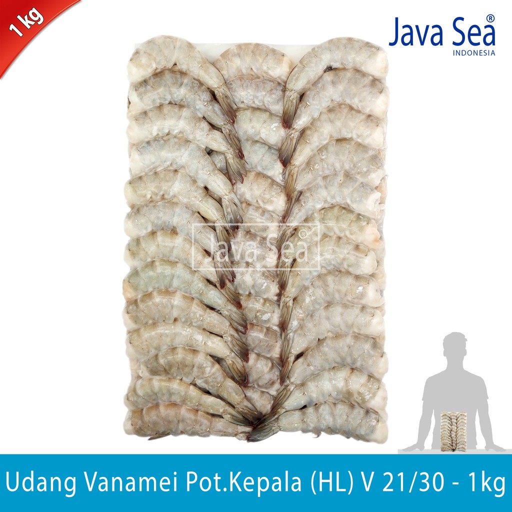 

Udang Vanamei Potong Kepala HL V 21/30 pack 1kg Java Sea