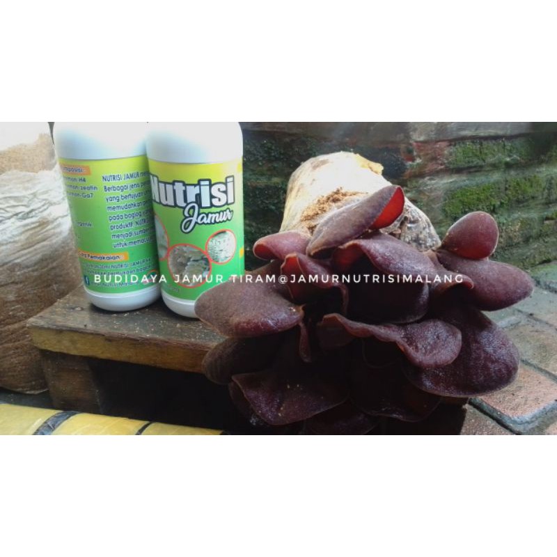 

Nutrisi Jamur 600ml untuk segala jenis jamur