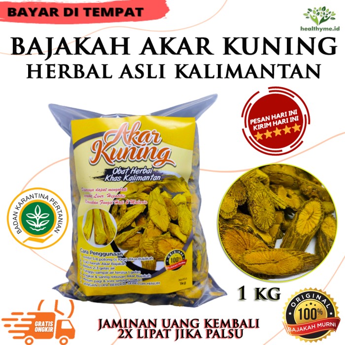 

Akar kuning Kayu Bajakah Kuning Asli Kalimantan 100% ORIGINAL- 1 KG