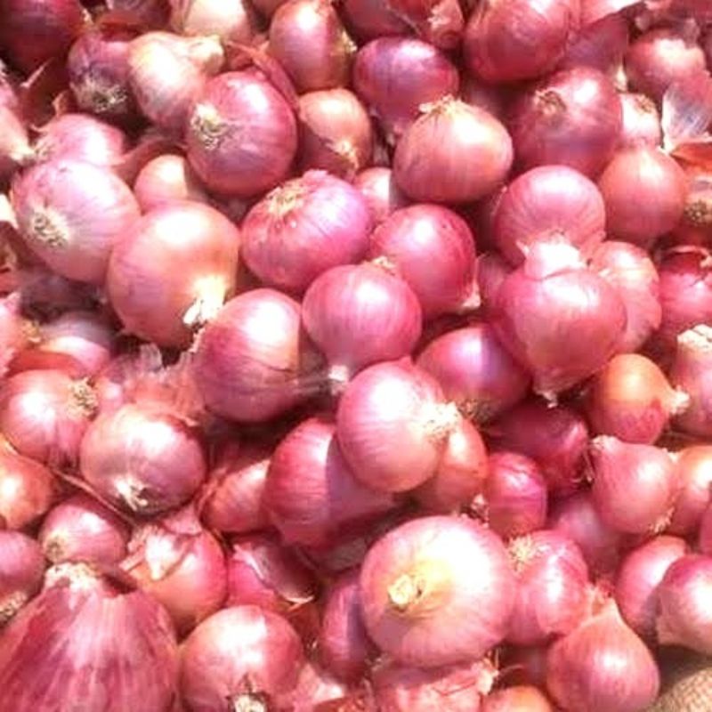 

Bawang Merah