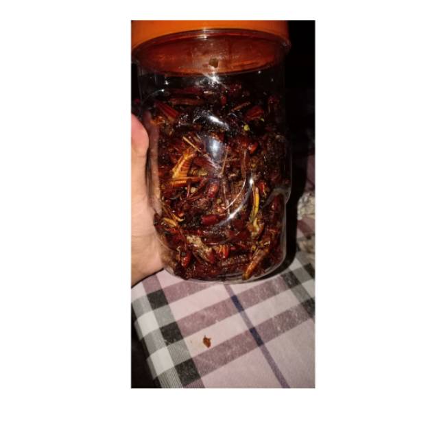 

Belalang Goreng Pedas Manis