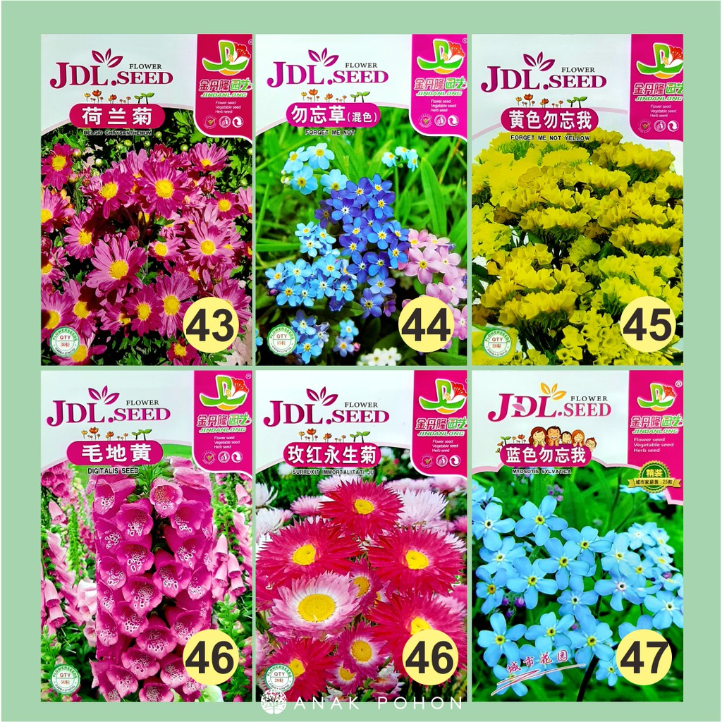 Benih Aneka Bunga Flower JDL Seed Retail Pack - Tipe B