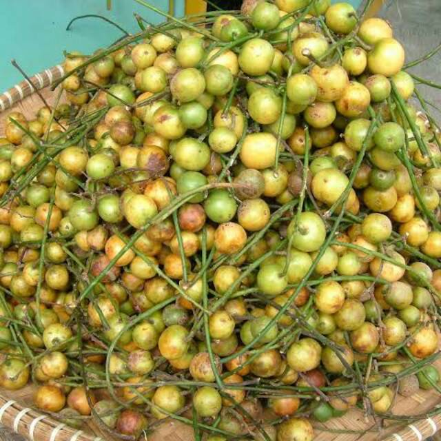 

Buah menteng khusus pengiriman gosend