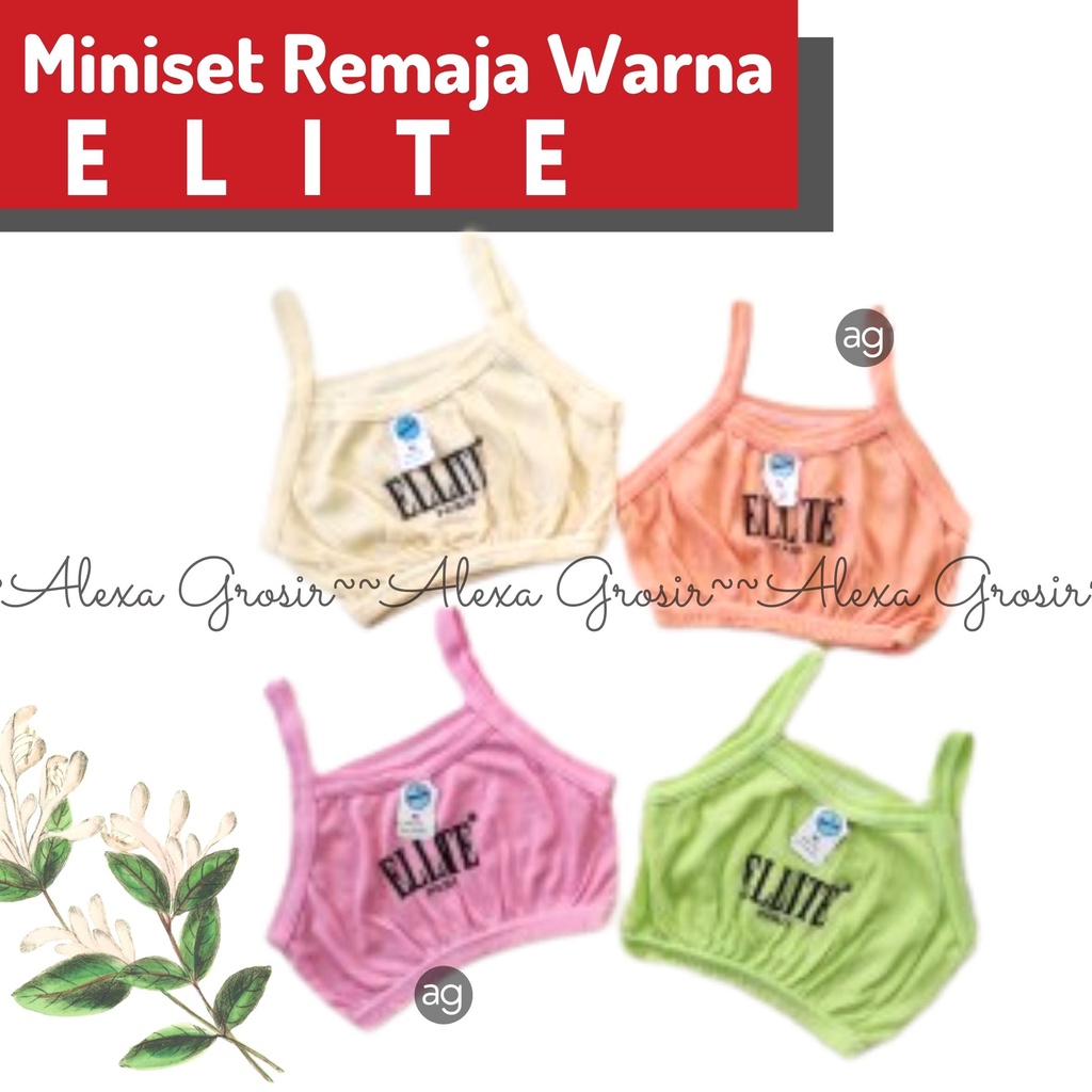 GROSIR 12 PCS Miniset Remaja warna elite warna -ALEXAGROSIR