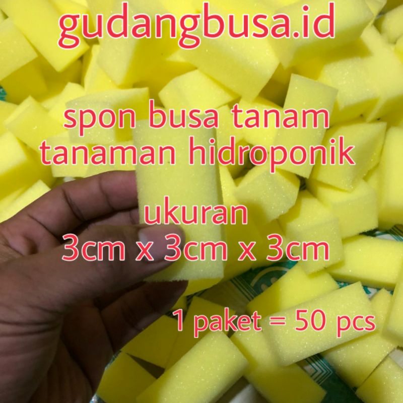 Jual Spon Busa Media Tanam Tanaman Hidroponik Ukuran 3cm X 3cm X 3cm