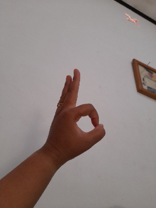 Rok Couple Plisket / Kebaya Couple / Batik Sarimbit