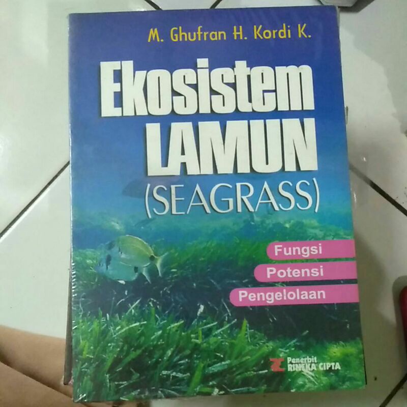 EKOSISTEM LAMUN SEAGRASS