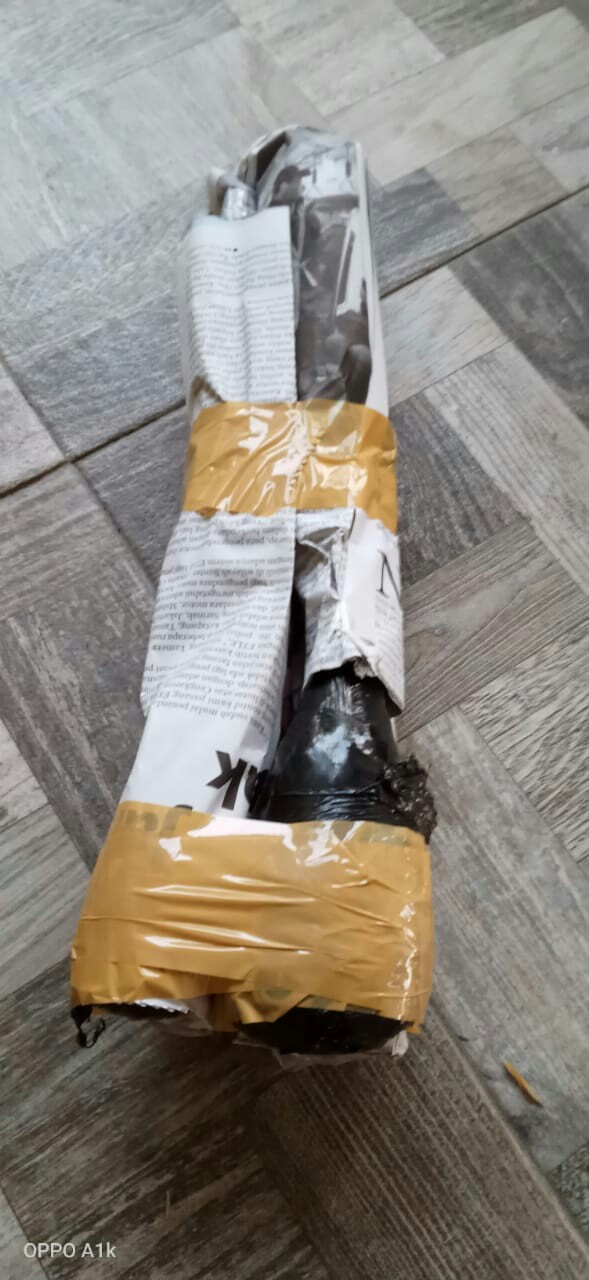 Tanaman Hias Keladi Anturium Kuping Gajah