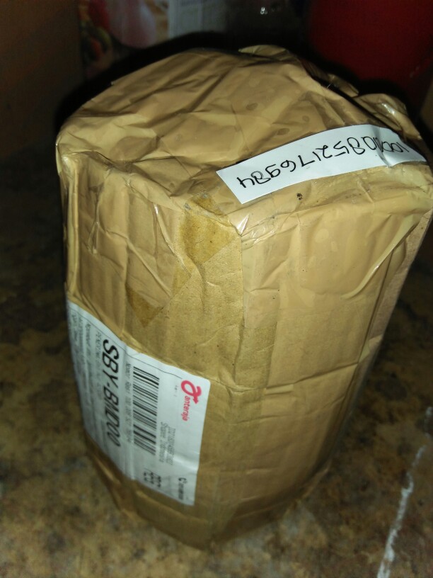 Pot Pirus Gucci Jet 101 Diameter 10 Cm