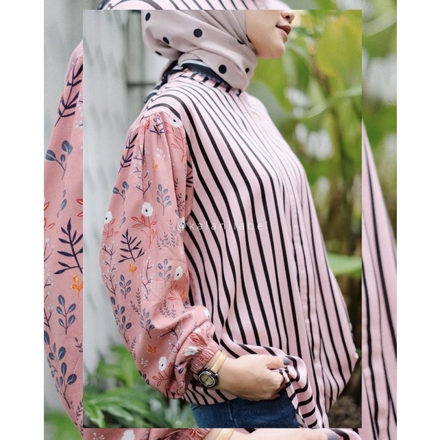 Miyasa carnation Kalani