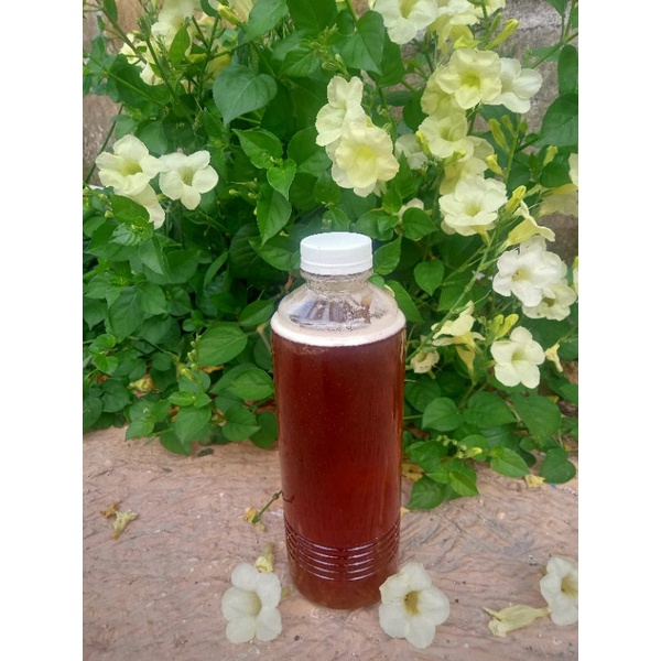 

Madu Ar Rahmat ( Madu Murni Bunga Mangga 460 ml)