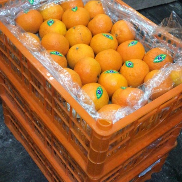 

Buah Jeruk Mandarin Wokam Manis Fresh / 1 Keranjang