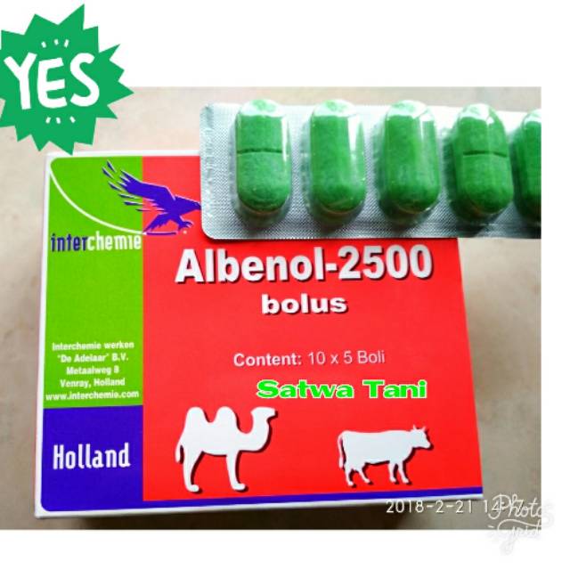 ALBENOL-2500 (OBAT CACING SAPI BOLUS)
