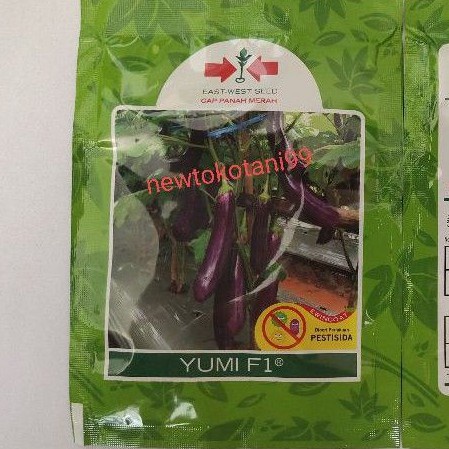 Benih terong hibrida YUMI F1 1100 butir terung ungu panjang terong yumi dari panah merah