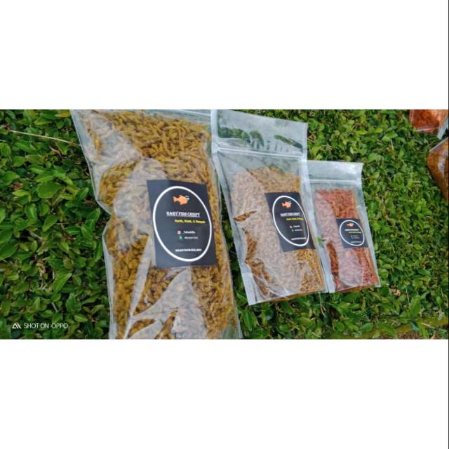 

Camilan Baby Fish Crispy (Gatul)