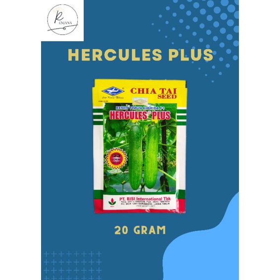 Benih mentimun Hercules