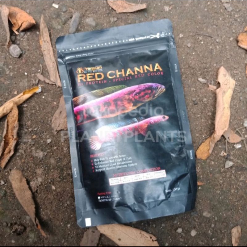 PREMIUM BLUE CHANA TROPICAL FISH MAKANAN IKAN AQUARIUM CHANA