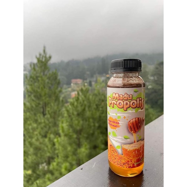 

Madu propolis