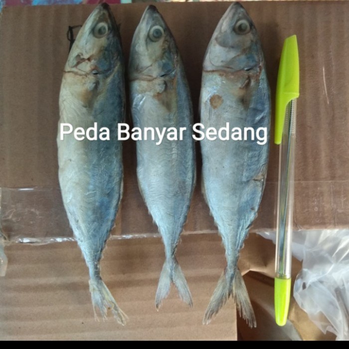 

Ikan Asin Peda 1kg Murah Enak