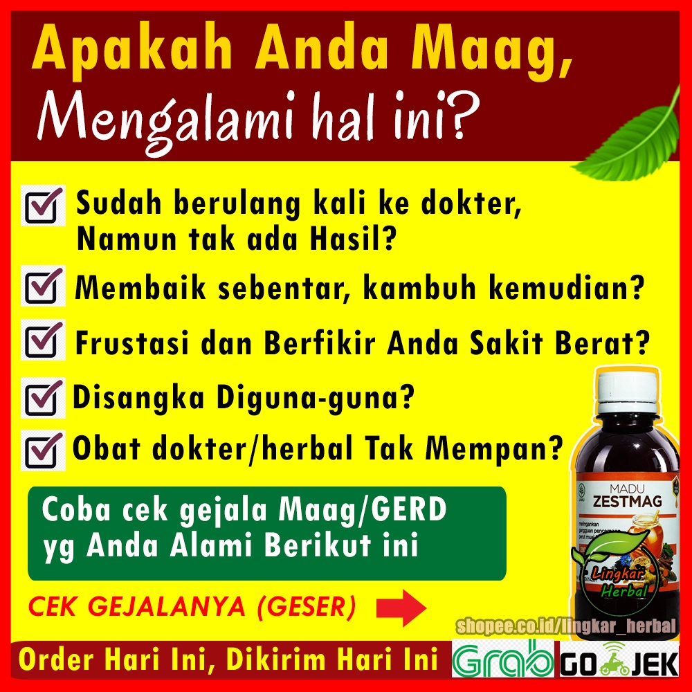 Madu Zestmag Original Obat Maag GERD Asam Lambung Anxiety Herbal