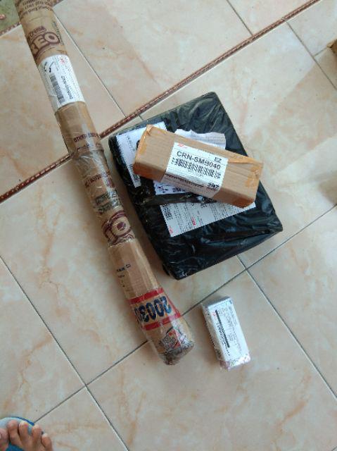 Biji Benih Buah Anggur  Coret  10 Biji