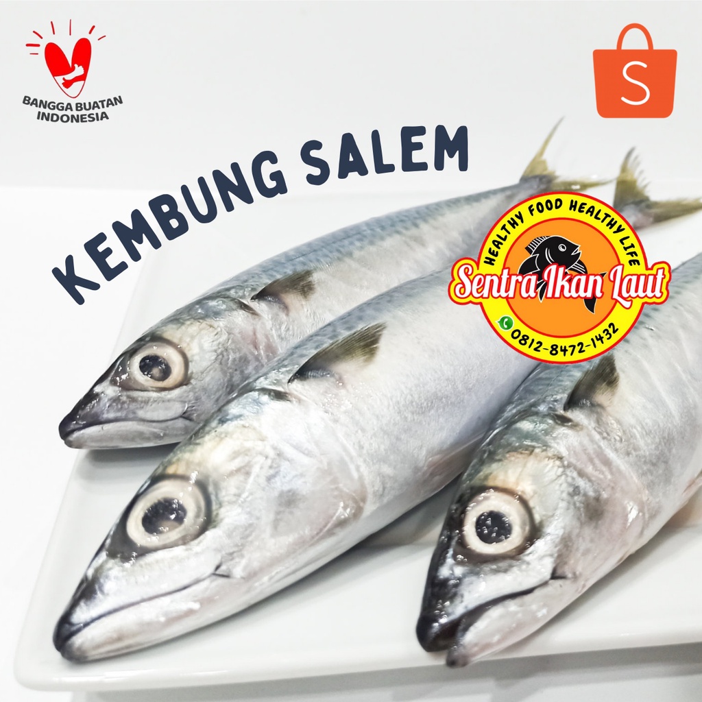 

Seafood Ikan Kembung Salem Beku Kapal