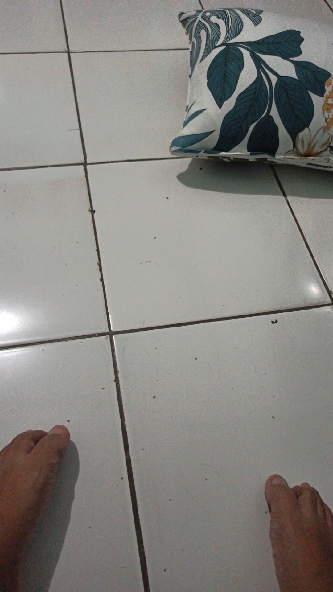 Pisau Dapur Ginzu Gagang Kayu Tidak Berkarat