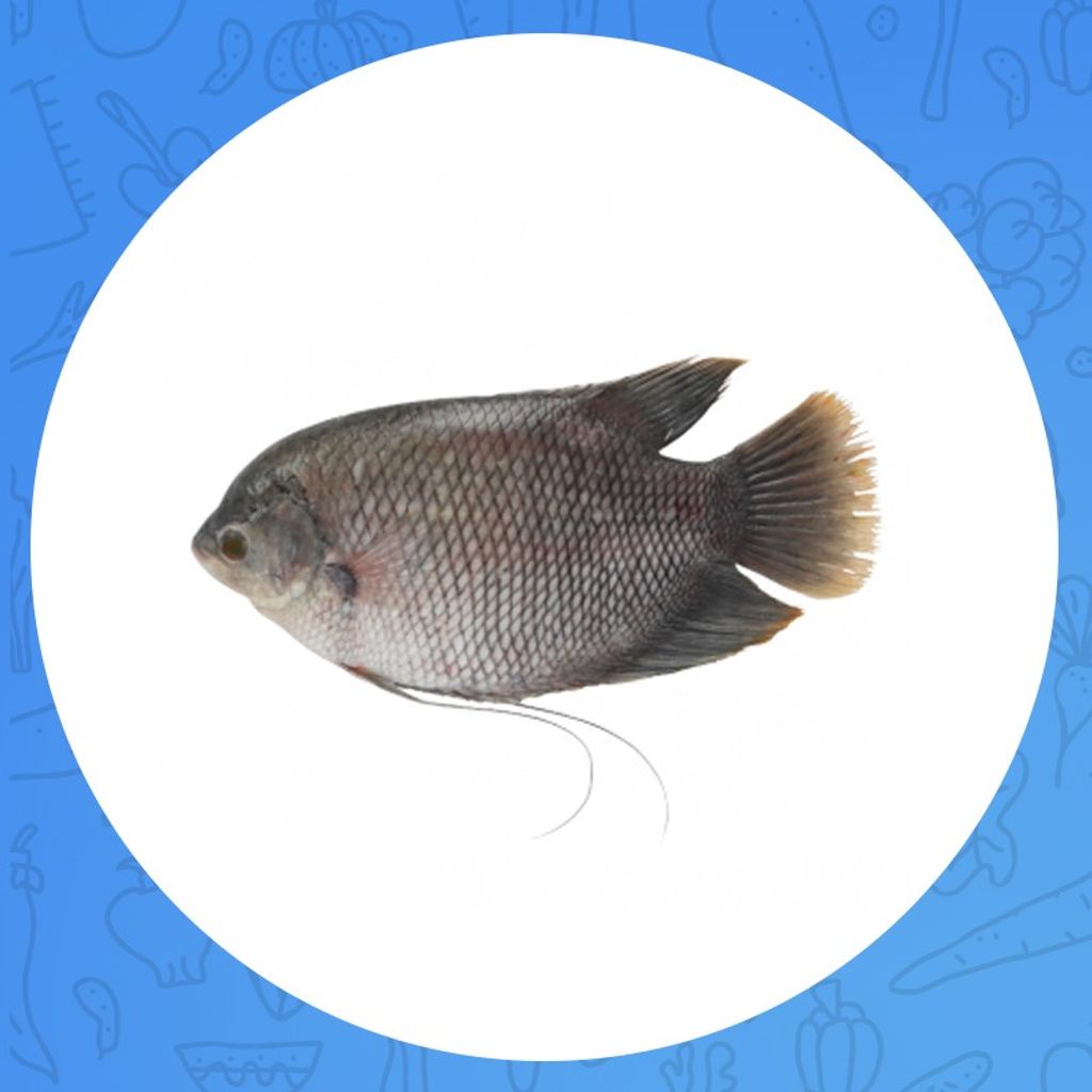

GURAMI 500gr