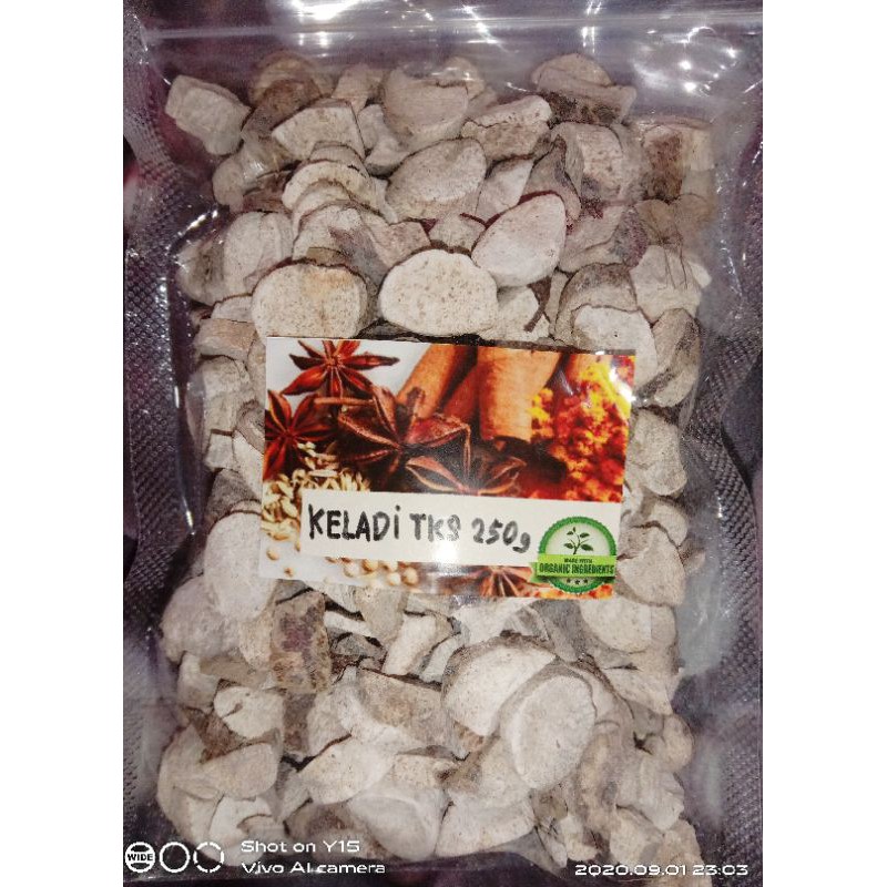 

KELADI TIKUS JSR