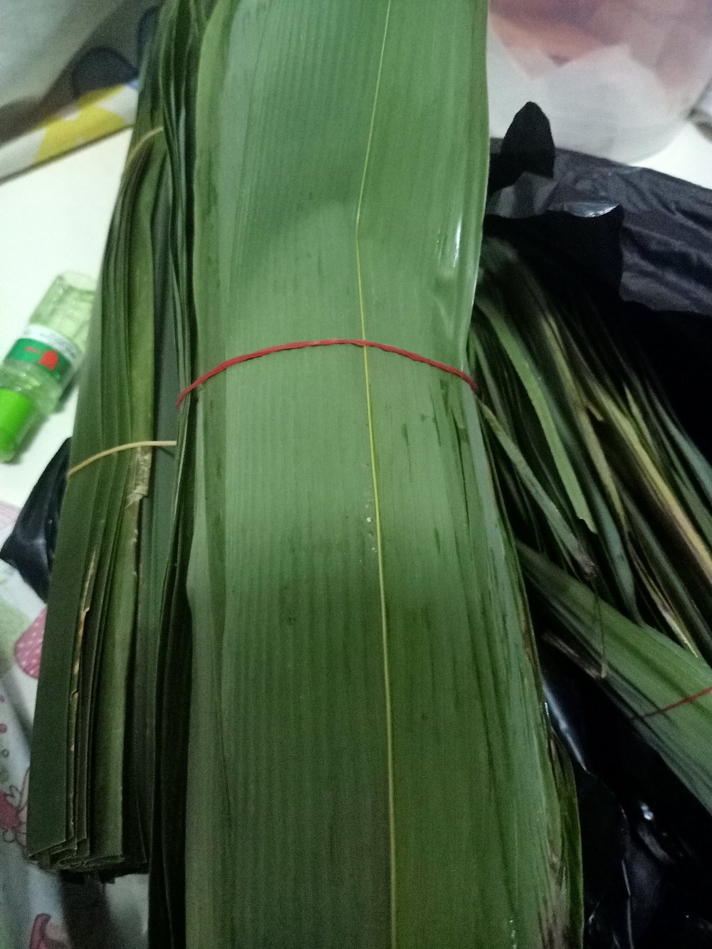 Daun Bambu Segar