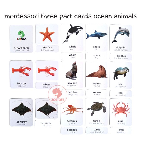 Zoetoys Montessori Three Part Cards Wild Ocean Animal Bug Dinosaur | LANGUAGE Nomenclature | Terminology Cards Kartu Terminologi | Flashcards |Mainan Edukasi Anak