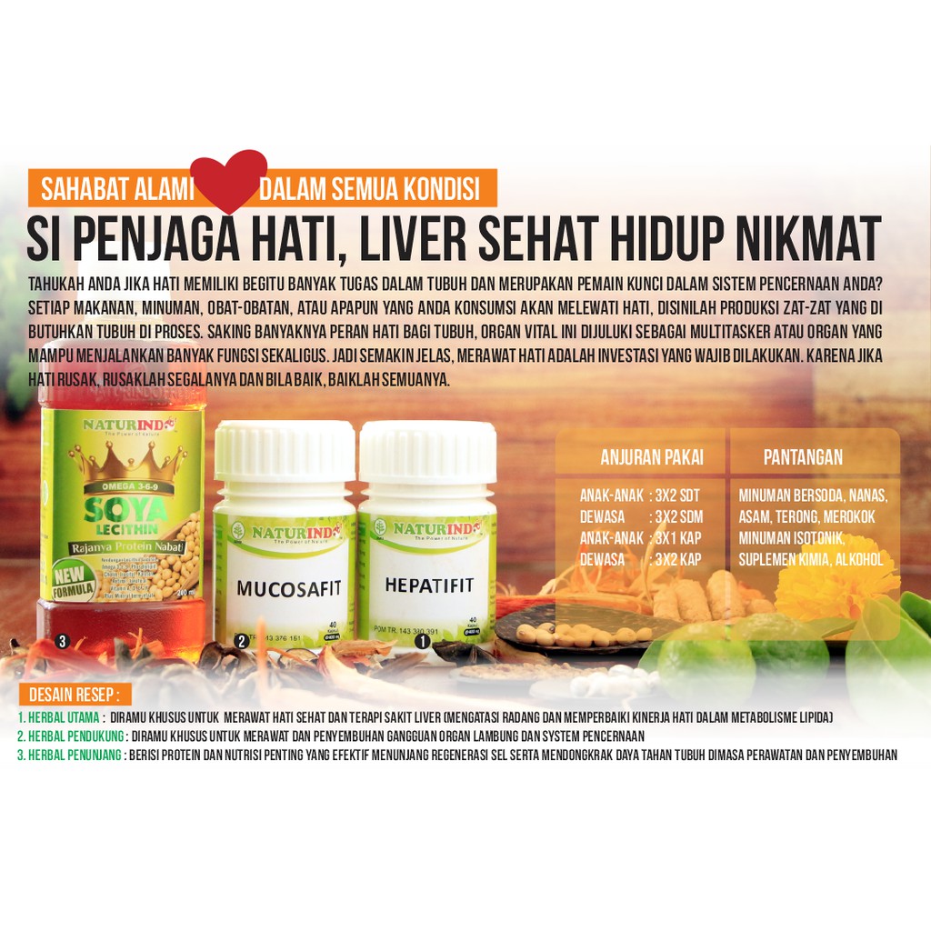 

Paket Obat Herbal Organ Hati & Liver Naturindo