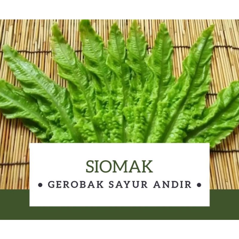 

Siomak / 500gr