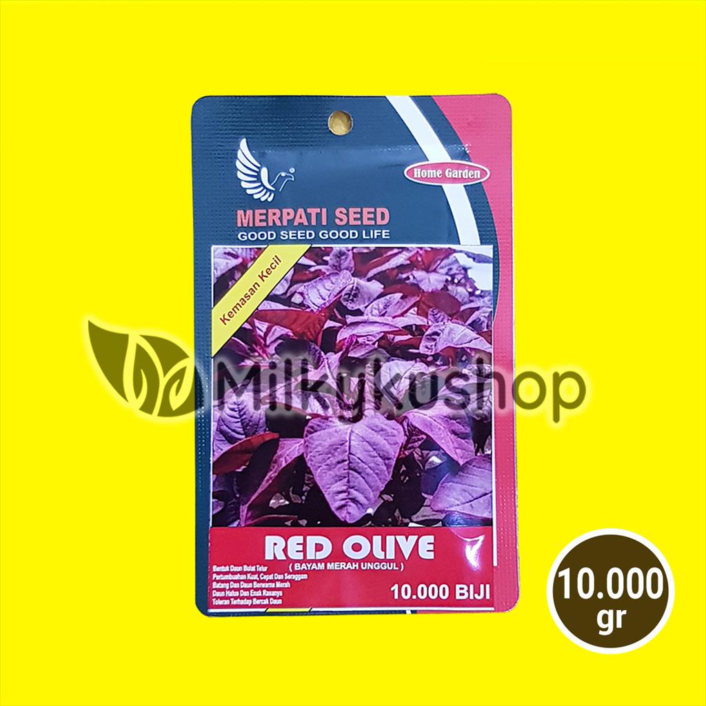 BENIH MERPATI SEED RED OLIVE BAYAM MERAH 10000 BIJI KEMASAN PABRIK