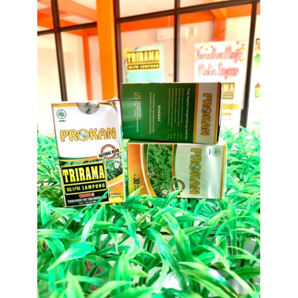 Agarillus Prokan Berlogo