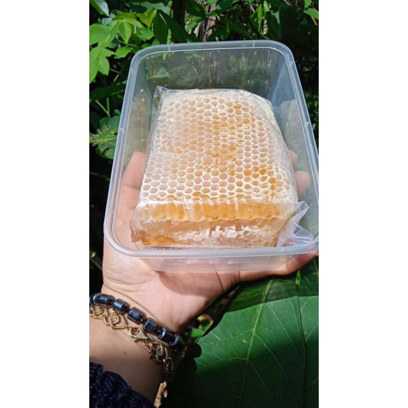 

Sarang madu murni epis melifera
