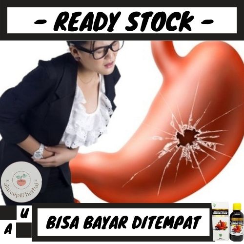 OBAT LAMBUNG BOCOR, OBAT RADANG LAMBUNG, OBAT TUKAK LAMBUNG, MADU HERBAL UNTUK LAMBUNG HERBAL,SUPLEM