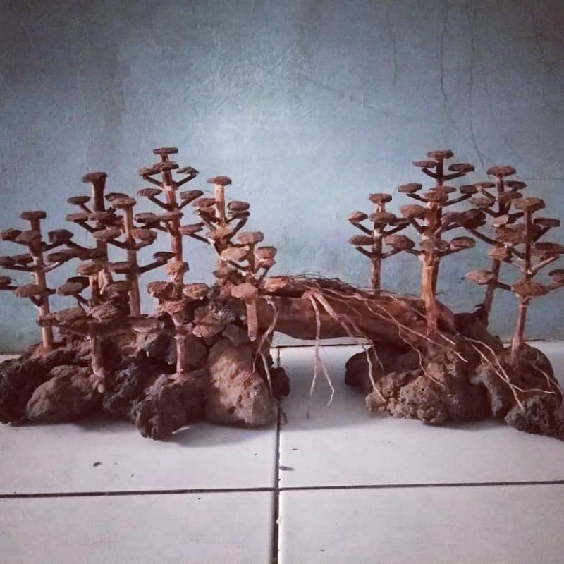 hardscape hutan pinus untuk tank 40cm