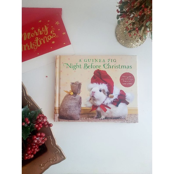 A guinea Pig Night before Christmas