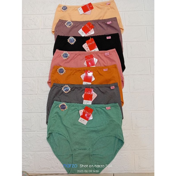 CD katun sorex CD sorex 1229