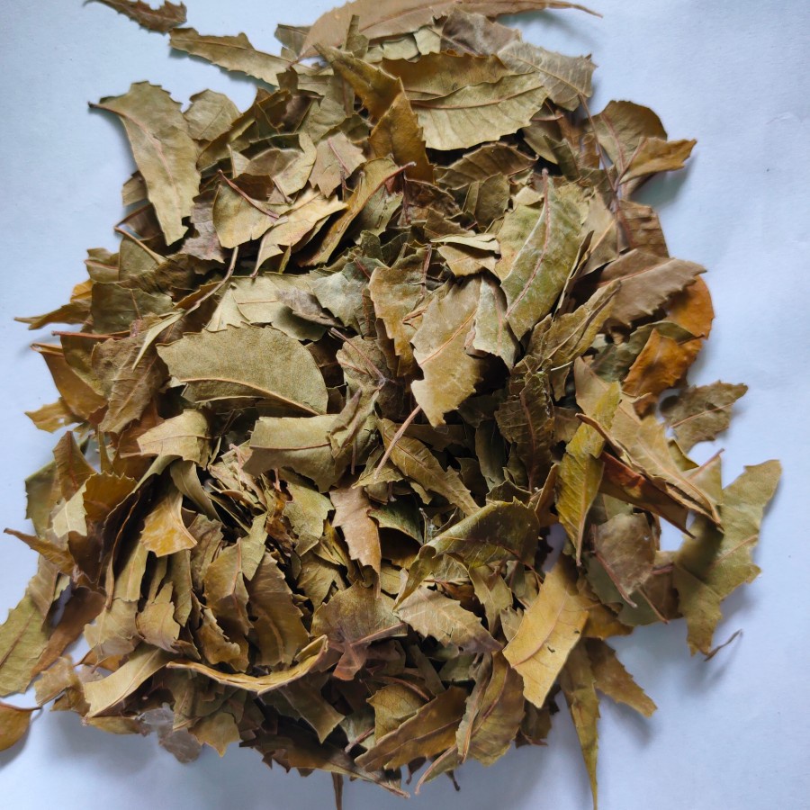 

Daun Mimba Asli Kering 500 gram (1/2 kg) Herbal Alami