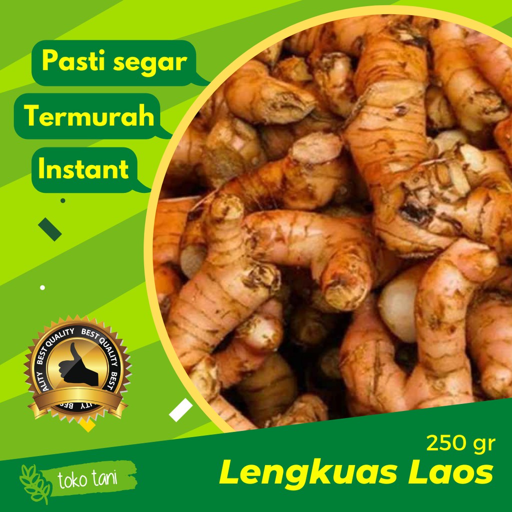 

Lengkuas Laos 250 gr
