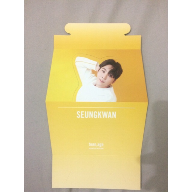 Seventeen Seungkwan Standee
