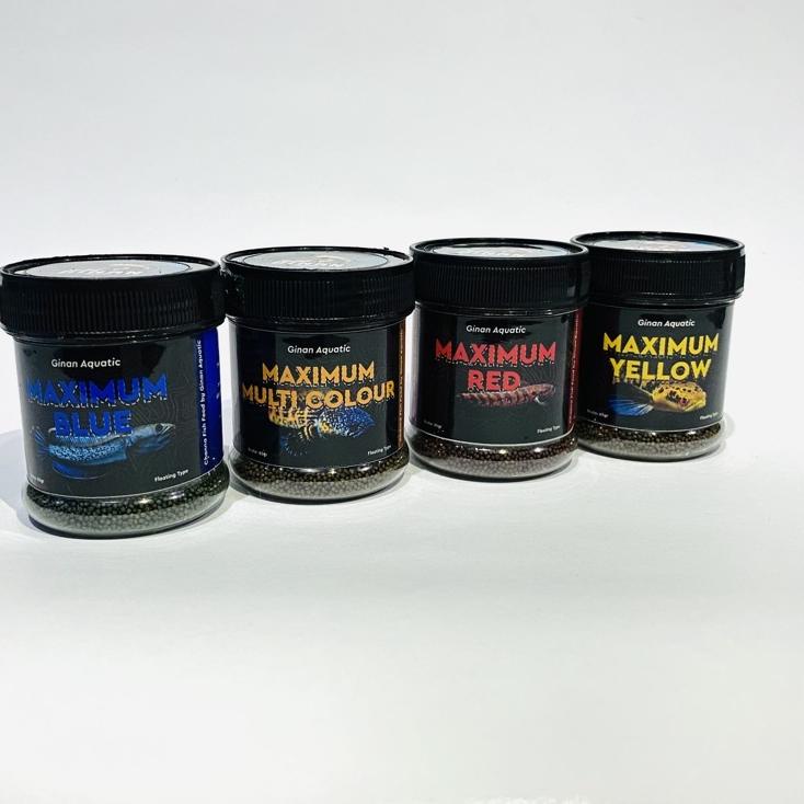 New MAXIMUM PELLET PAKAN CHANNA BY GINAN AQUATIC