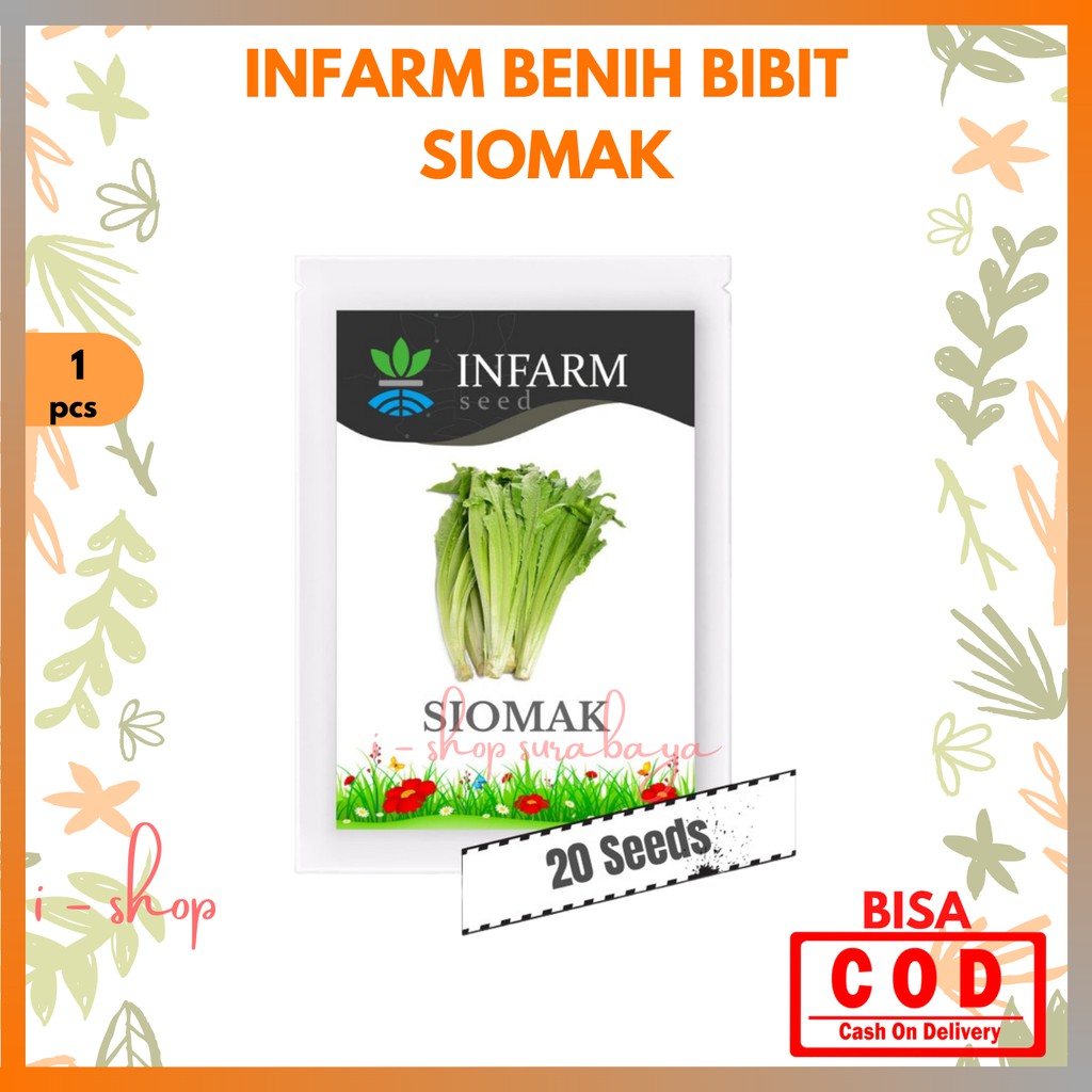 Infarm Benih Bibit Super Sayuran Siomak / Biji Super Selada Wangi Siomak / Benih Sayur Selada Cina