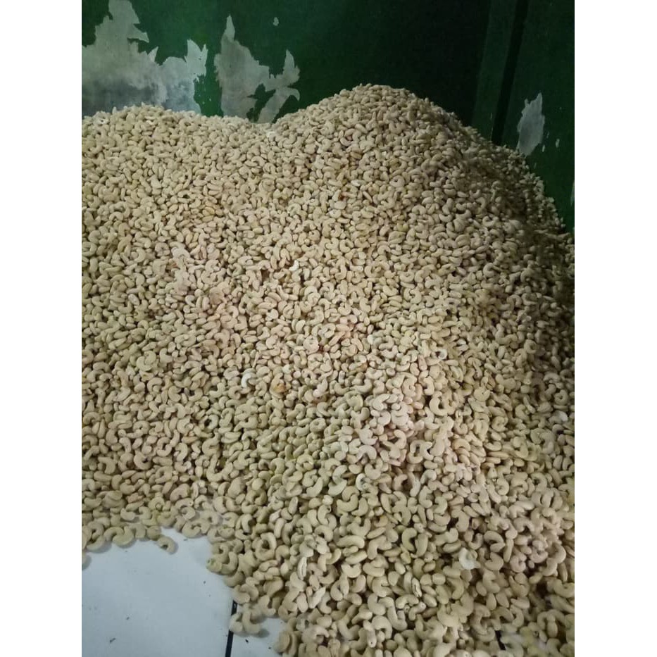 

Kacang mete mentah Jumbo - Sulawesi harga distributor grosir , murah