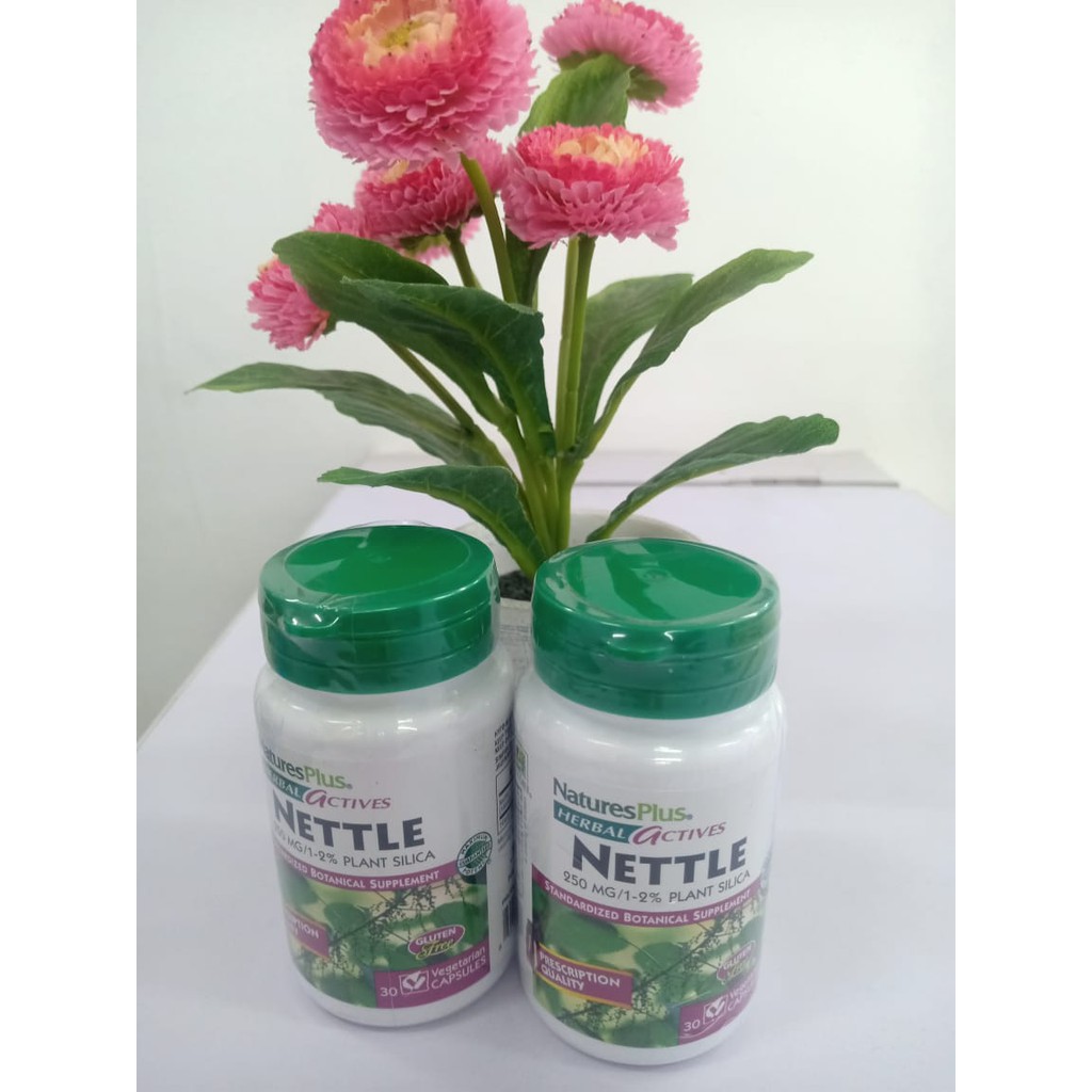 Natures Plus Nettle 30 kapsul