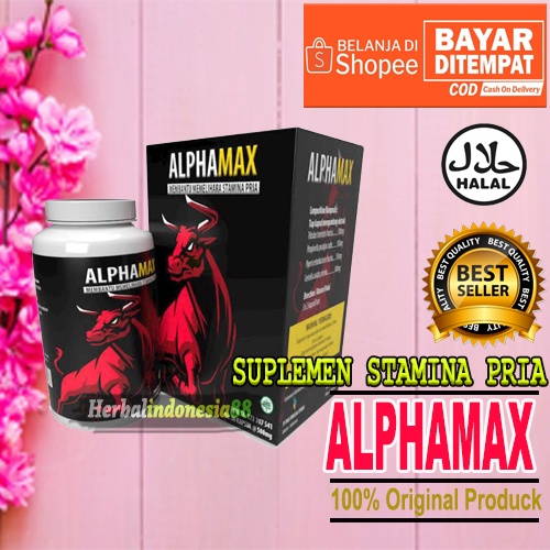 ALPHAMAX ALAMI 100% - ALPHAMAX OBAT PENAMBAH STAMINA PRIA HERBAL KUAT TAHAN LAMA