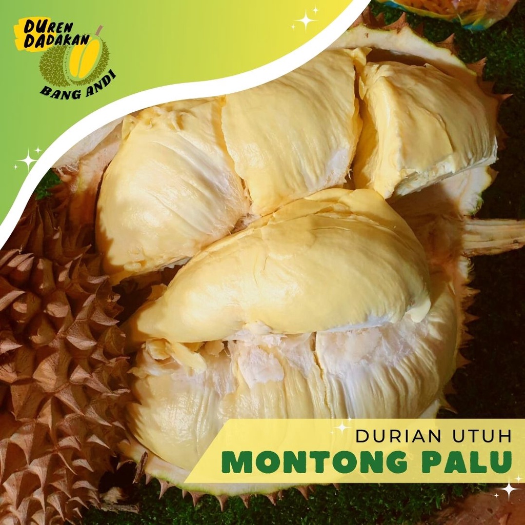 Durian Montong Palu | Buah Duren Bulat Utuh | Durian Super Premium
